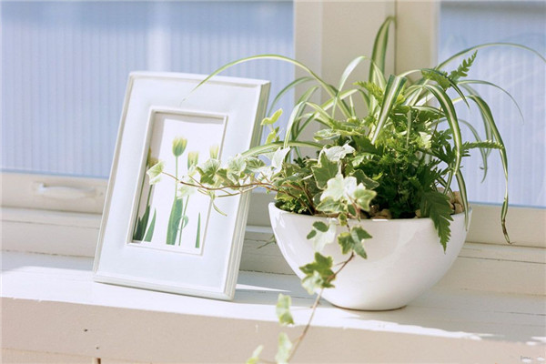 室内异味如何去除 去除室内异味的技巧