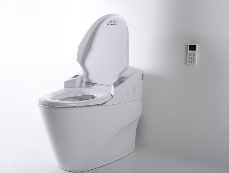 智能马桶十大品牌 智能马桶品牌哪个好_新闻资